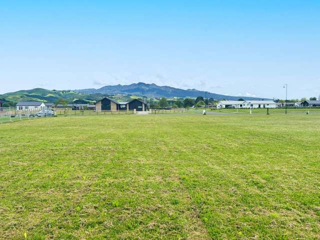 565 Inglefield Street Pirongia_3