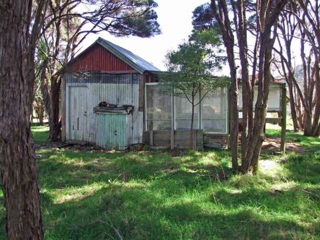 172 Wharariki Road Kahurangi National Park_4