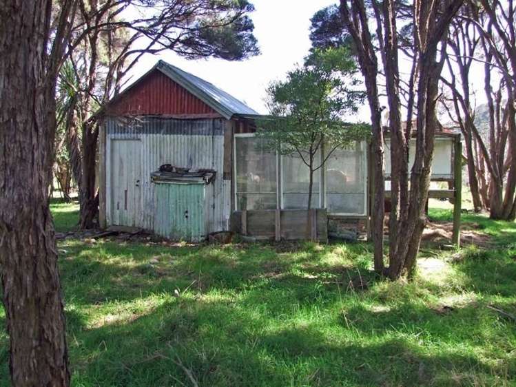 172 Wharariki Road Kahurangi National Park_4