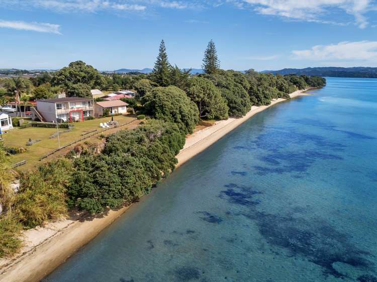 3/150c One Tree Point Road One Tree Point_1