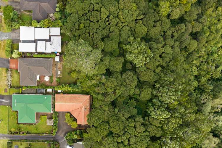 206 Glengarry Road Glen Eden_19