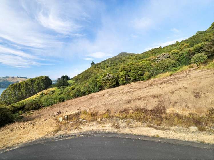 65 Kakapo Street Saint Leonards_8