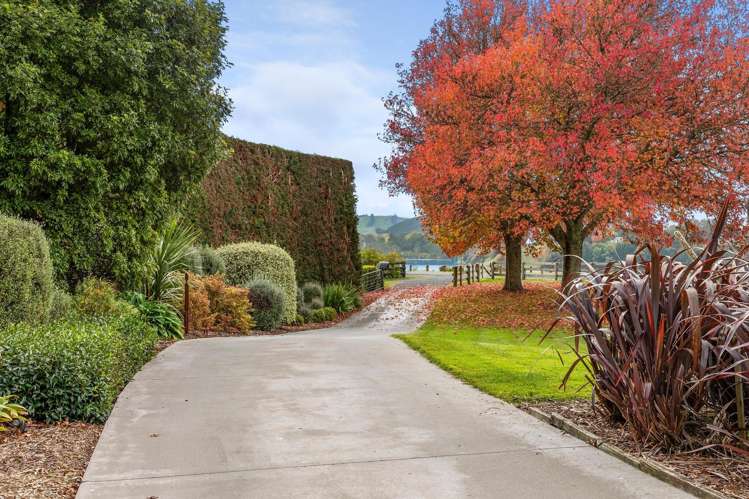 742 Maungatautari Road Cambridge_33