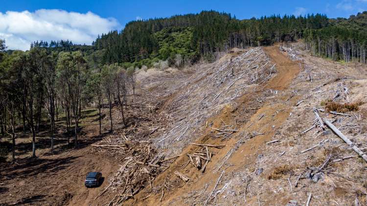 Te Rore Road Kaitaia_5