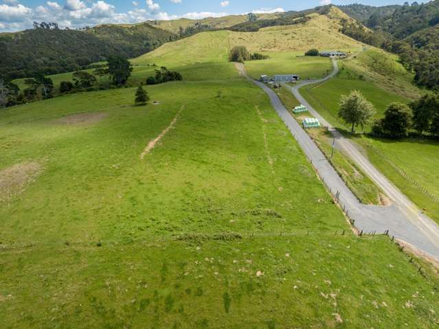 Lot 1 Herbert Road Morrinsville_2