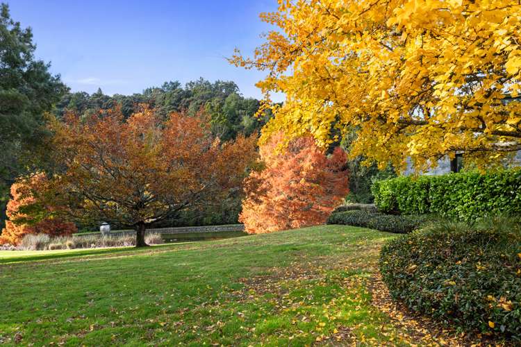 228 Sunnyside Road Coatesville_6