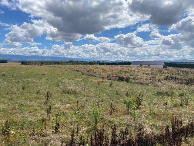 595 East Taratahi Road East Taratahi_4