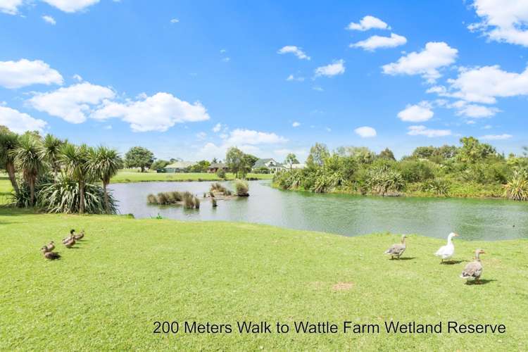 3 Crannog Fen Wattle Downs_21