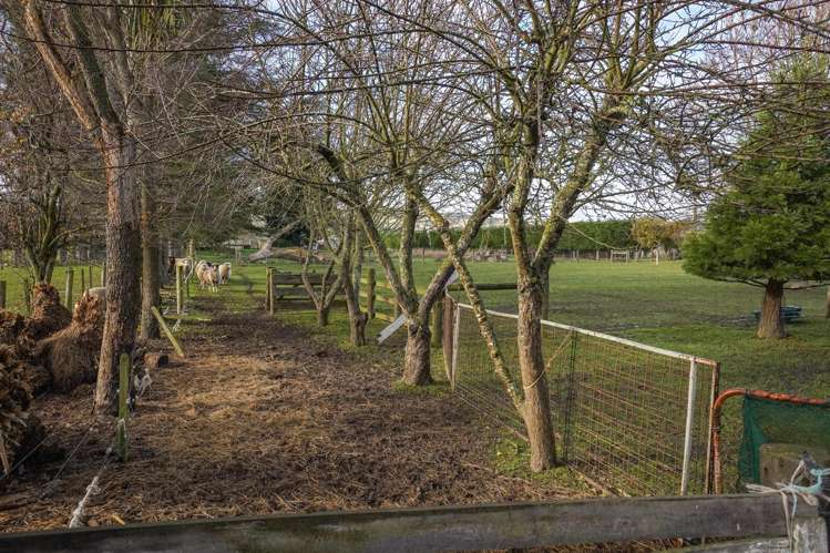 146 Mina Road Cheviot_12