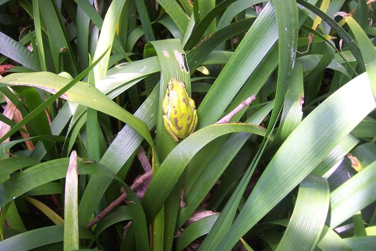 104B Duncan Road Tamahere_32