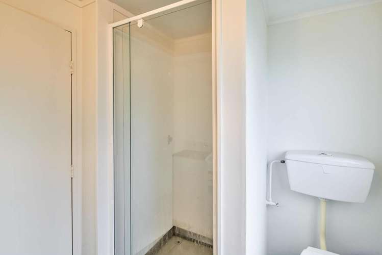 24c The Track Plimmerton_8