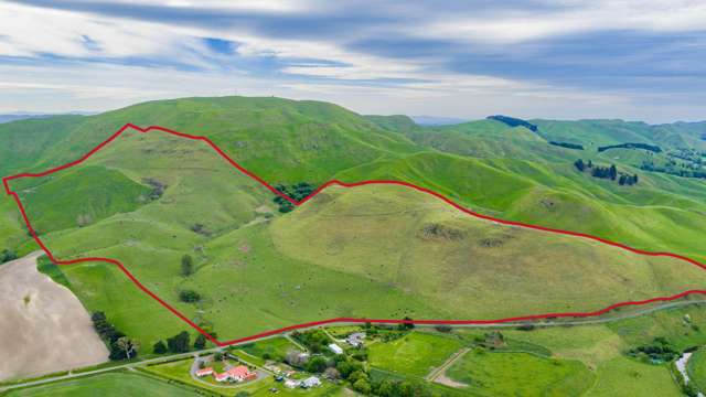 Te Huka Block, Aupaki Block and Panapa Block Poukawa_1