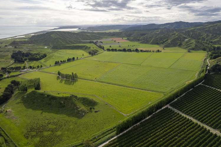 2225 State Highway 2 Whakaki_8