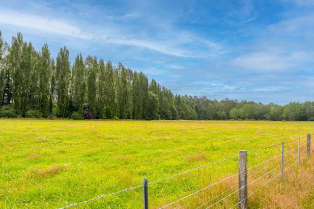 79 Halstead Road Pleasant Point_3