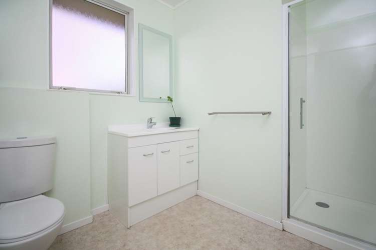 9 Palm Court Drive Glen Eden_13