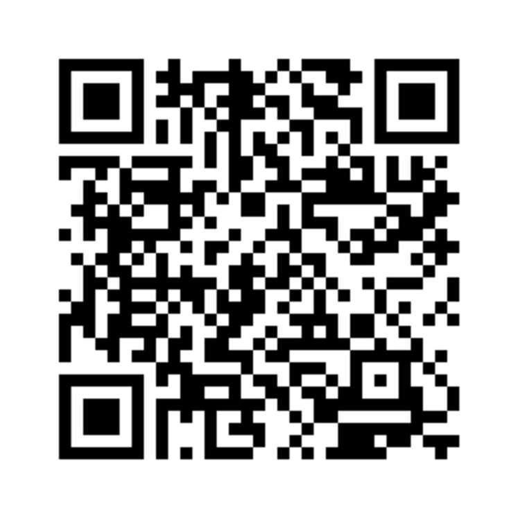 50 Gordon Street Masterton_23