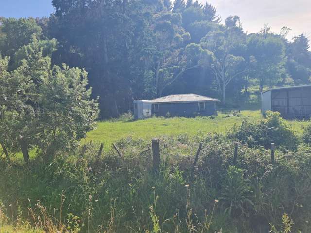 28 Domain Road Ormond_2