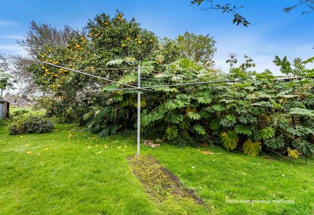 498 Swanson Road Ranui_3