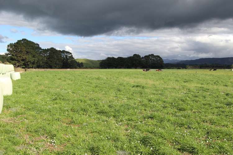 579 Kopikopiko Road Eketahuna_3