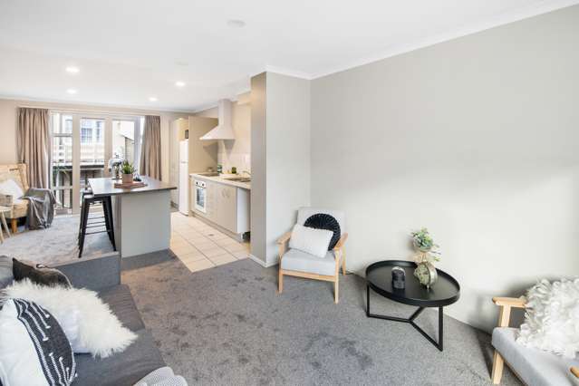 146b Aro Street Aro Valley_1