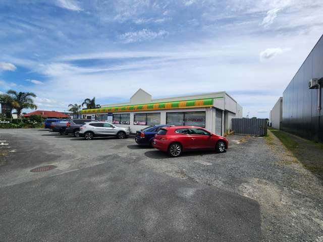 81 Greenwood Street Frankton_2