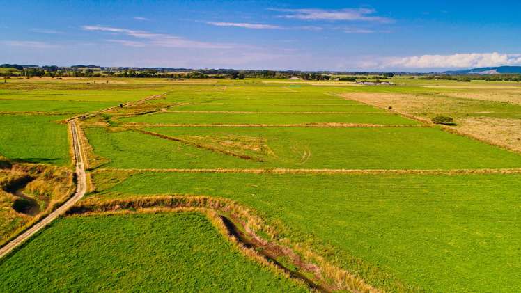 134 Waikawa Beach Road Manakau_10