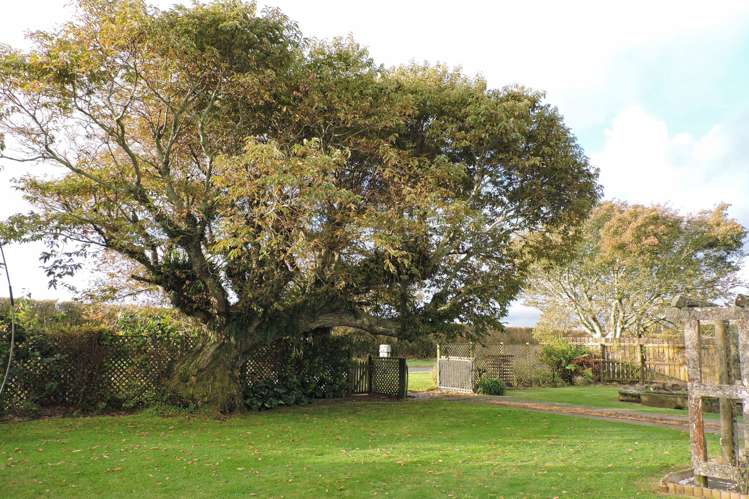 4 Tikorangi East Road Tikorangi_9