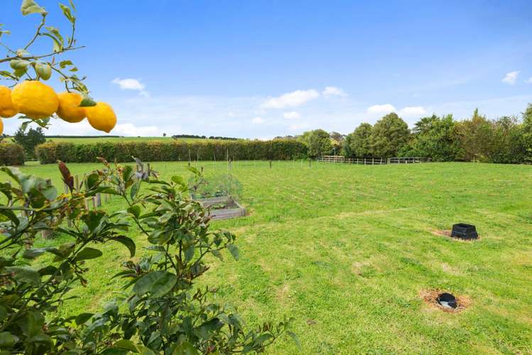 118 Buckville Road Buckland_5