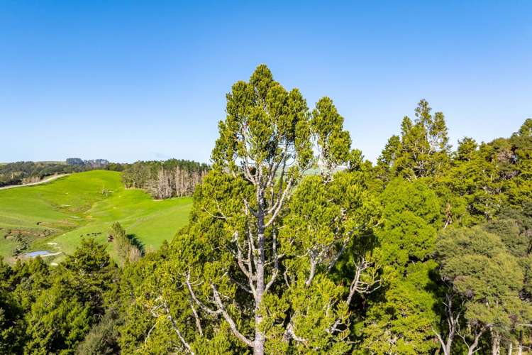 Lots1-7/450 Lawrence Road Mangawhai_23