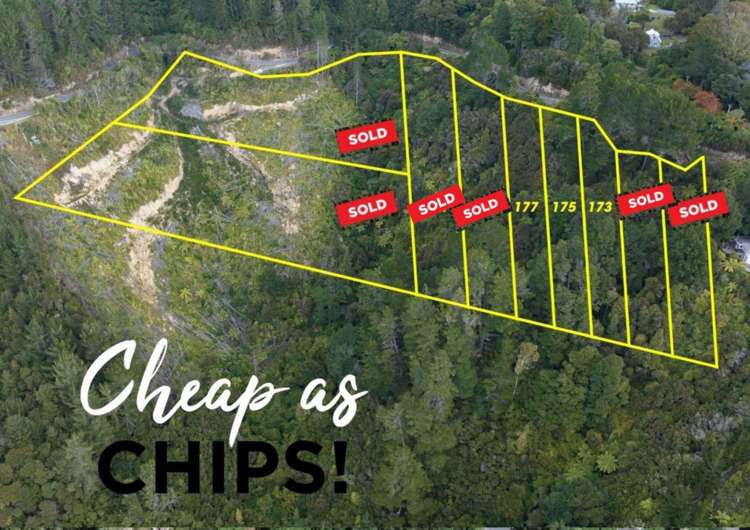 173 Blue Mountains Road_0