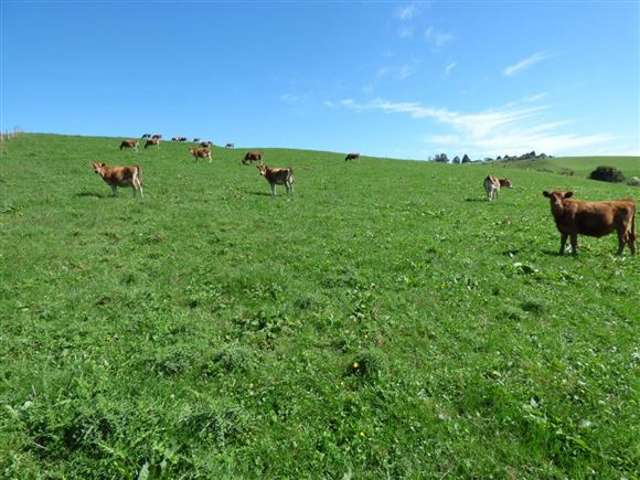 794 Mangaorongo Road Otorohanga_1