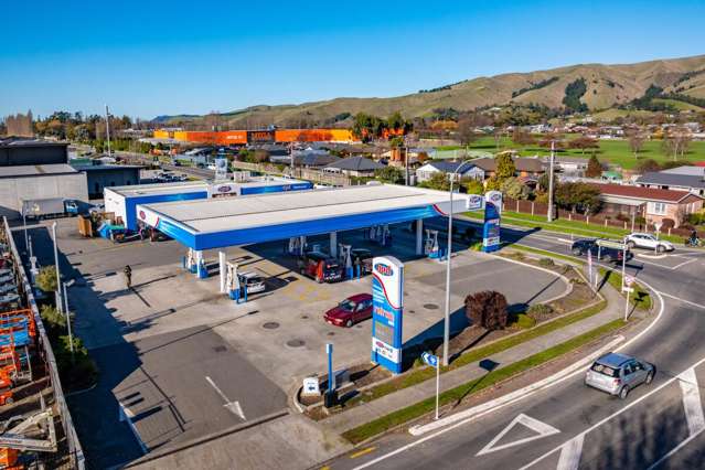 143 Alabama Road Blenheim_3