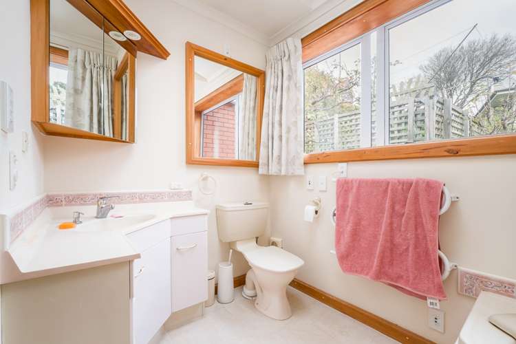 264 Mount Pleasant Road Mount Pleasant_26