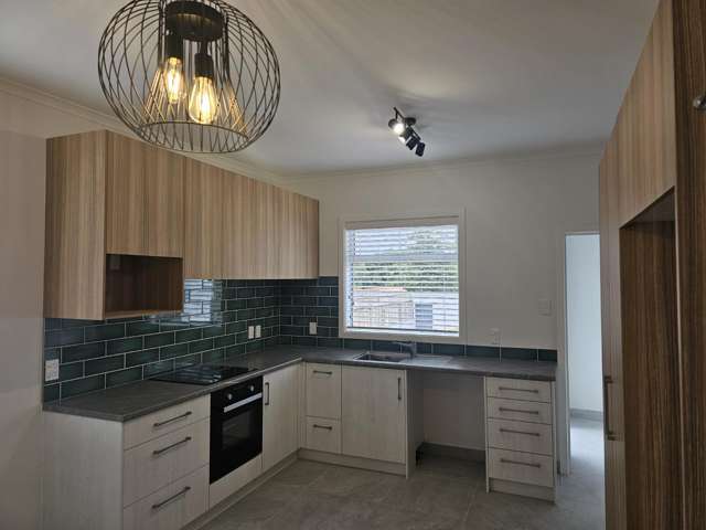 41 Tokomaru Street 10859_3