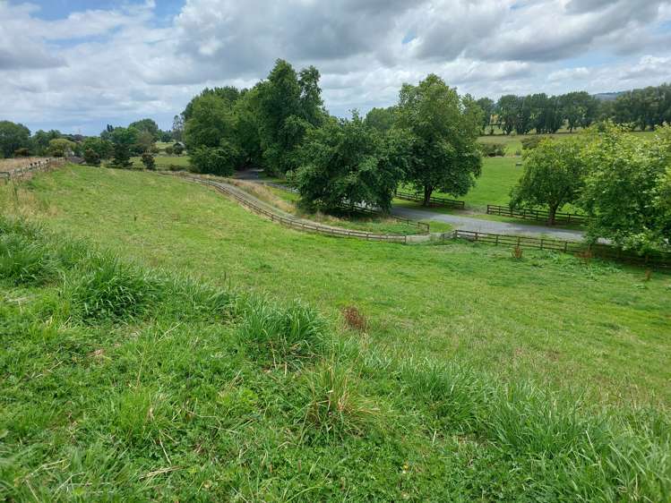 3/103 Maungakawa Road Cambridge_8