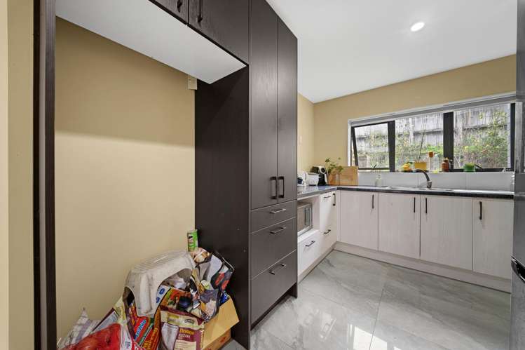 68 Ellis Avenue Mt Roskill_3