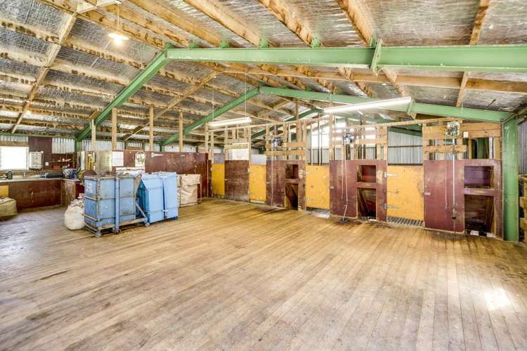 1020 Mangleton Road Kereru_18