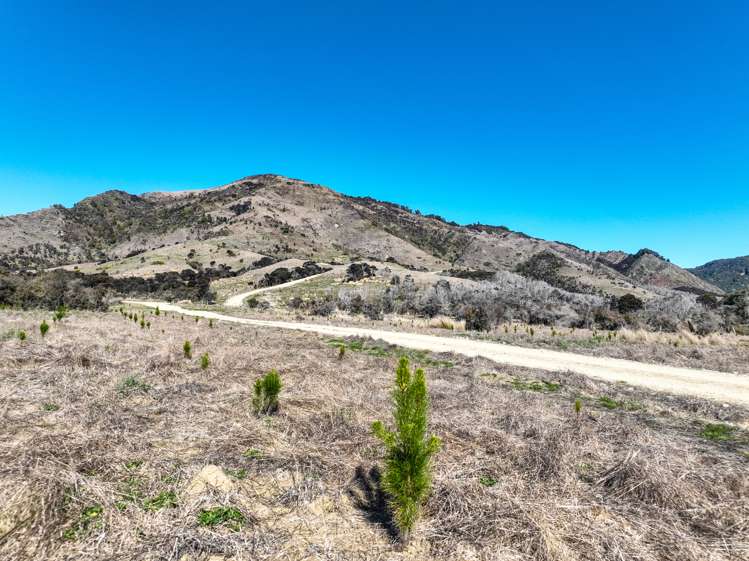 383 Lake Monowai Road Monowai_7