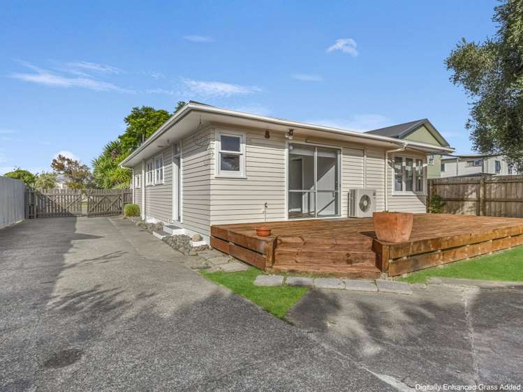36 Hitchings Avenue Onekawa_16