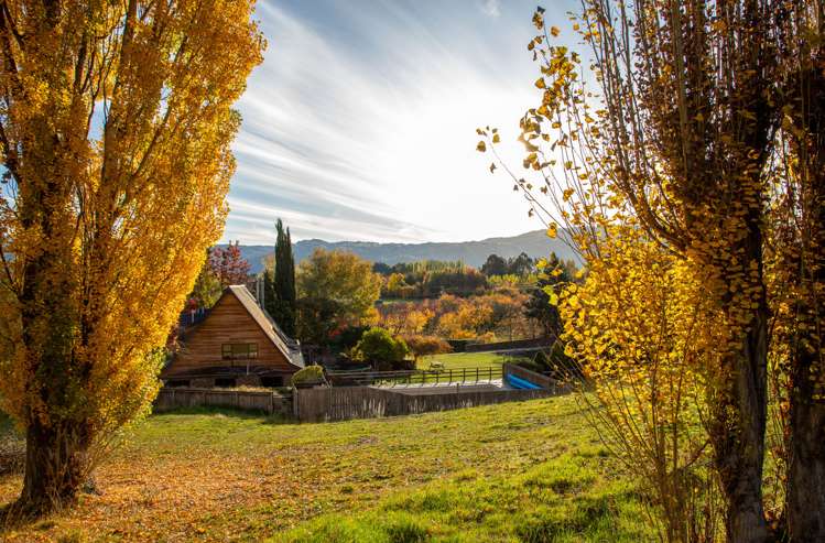 545 Dunstan Road Alexandra_8