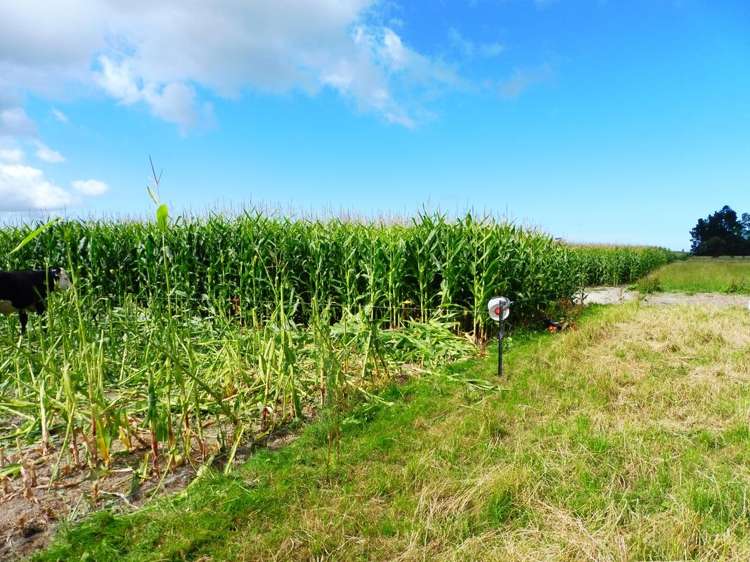 472 Factory Road Winchester_7