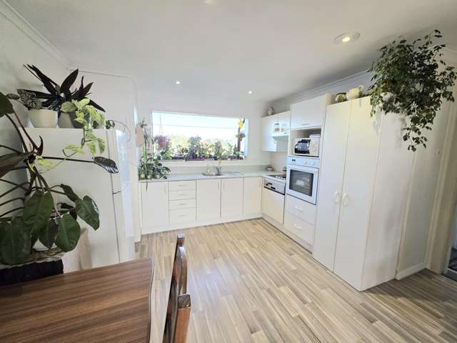 8 Kelvin Street South Hill_2