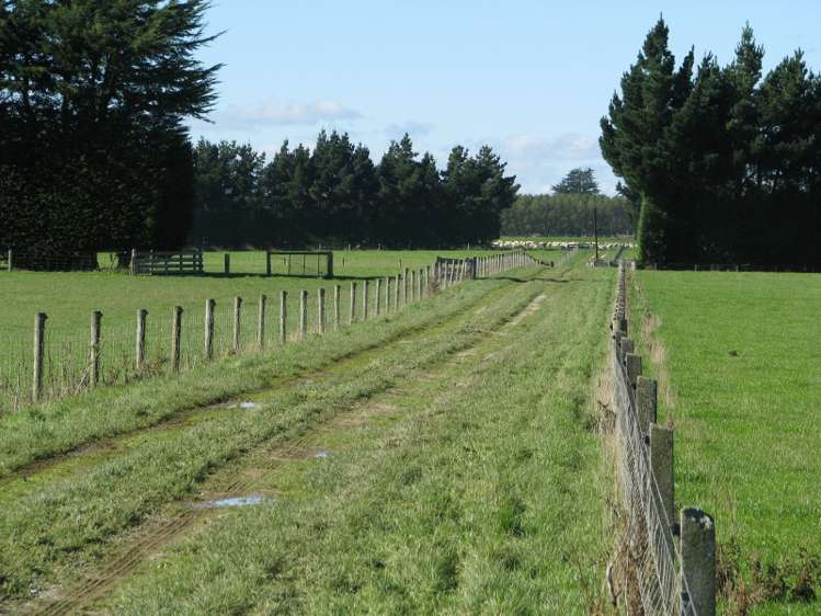 525 Woodlands Morton Mains Road Wyndham Surrounds_12