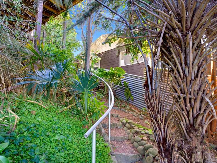 341 Main Road Tairua_21