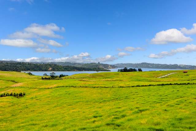 205 Vaughans Road Okura_4