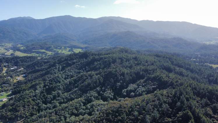 2 Pupu Valley Road Takaka_7