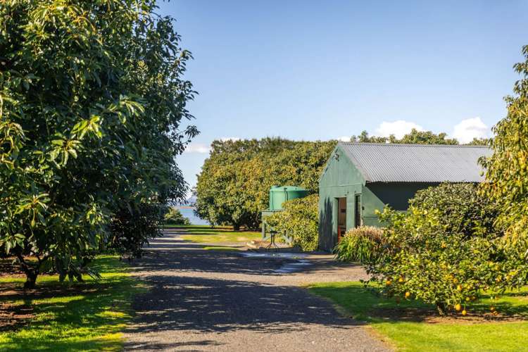 80 Prestidge Road Aongatete_21