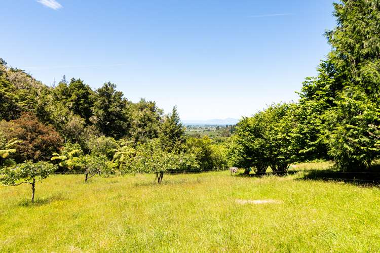 214 Brooklyn Valley Road Motueka_15