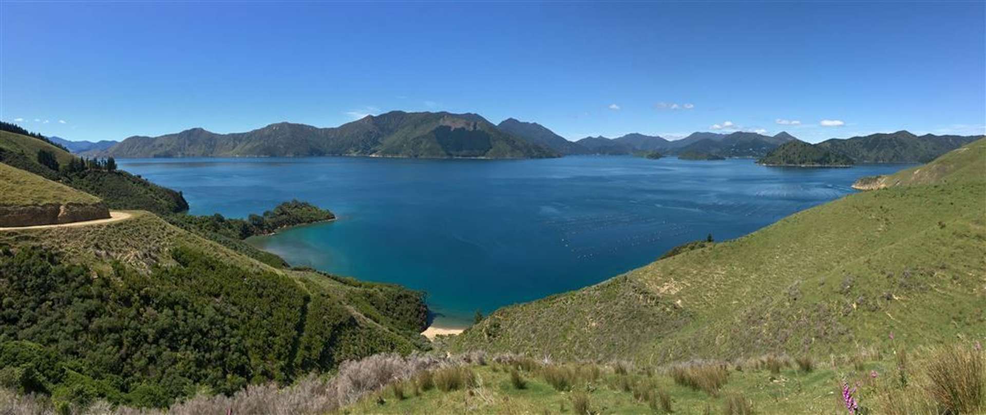 Picnic Bay Marlborough Sounds_0