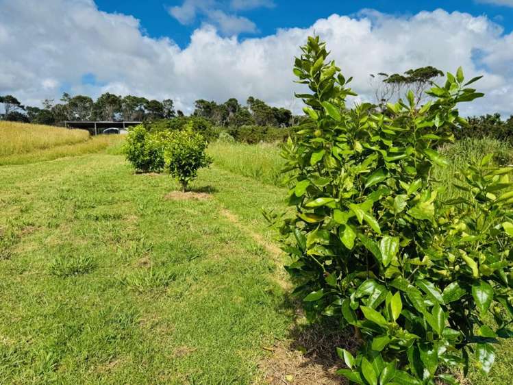 4675B Far North Road, Waihopo Houhora_17